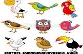 شخصیت شناسی با پرنده ماه تولد شما