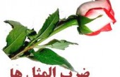 ضرب المثل “کاسه داغ‌تر از آش” از کجا آمده است؟