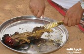 سوسمار خوری عربها / عکس