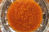 خواص خاكشیر و نحوه‌ی مصرف و نگهداری آن