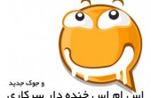 اس ام اس جوک و سرکاری