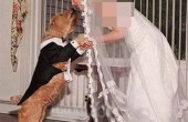 ازدواج یک زن با سگش / عکس