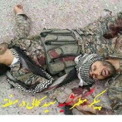 فیش حقوقی شهید مدافع حرم ؛ عکس