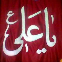 معمای تقسیم ارث امام علی (ع)