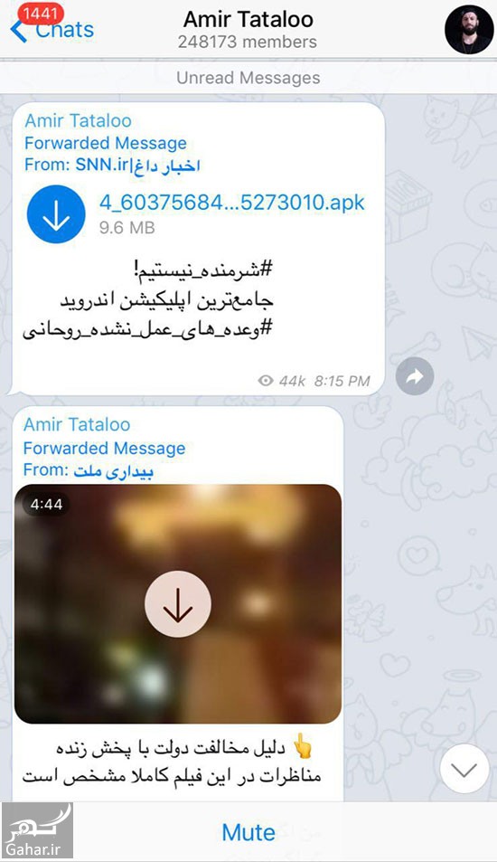 امیر تتلو به ستاد ضد روحانی پيوست