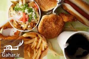 با دام های چاقی آشنا شوید