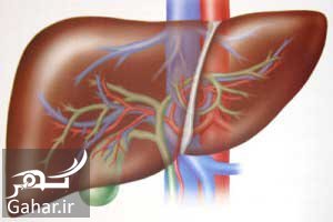 رژیم غذایی مناسب برای کبد چرب
