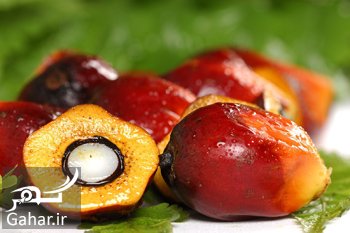 روغن پالم و عوارض آن