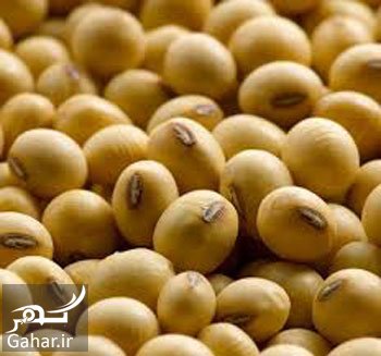 مواد غذایی سرطان زا را بشناسید