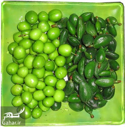 پیشنهاداتی برای مصرف گوجه سبز و چغاله بادام