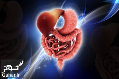 معرفی مواد غذایی برای پاکسازی سیستم گوارشی