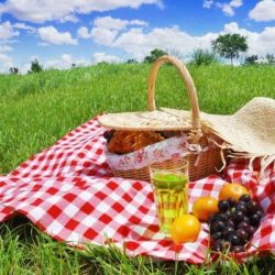 طبیعت گردی بی خطر و روش های مقابله با خطرات احتمالی