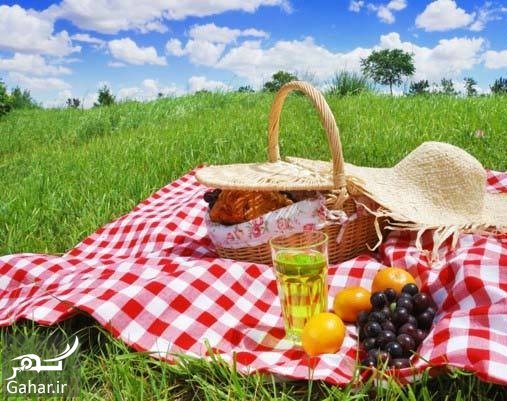 طبیعت گردی بی خطر و روش های مقابله با خطرات احتمالی