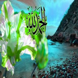 فواید جالب ذکر الحمدلله