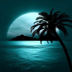 شعر فکرت مکن نیامده فردا را از پروین اعتصامی