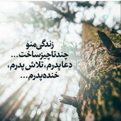 متن زیبا روز مرد