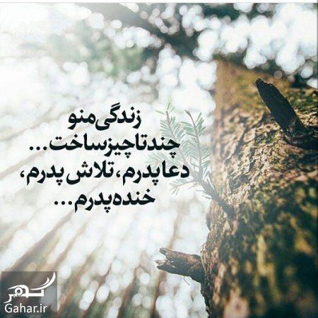 متن زیبا روز مرد