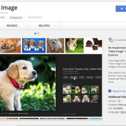 ترفند جالبی برای استفاده از View Image گوگل