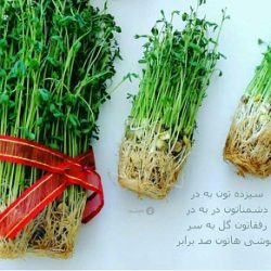 پیامک سیزده بدر جدید