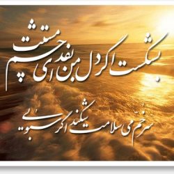 شعر بشکست اگر دل من به فدای چشم مستت