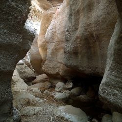 حقیقت هایی درباره آفرینش جن بر روی زمین