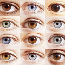 ازدواج با چشم رنگی ها چه مشکلی دارد؟
