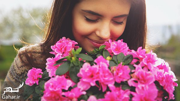 شخصیت شناسی گل ها برای ماه های مختلف