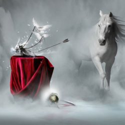 سرنوشت ذوالجناح اسب امام حسین چه شد ؟