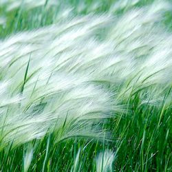 باد و گردباد و تندباد و طوفان چه تفاوتی با هم دارند؟