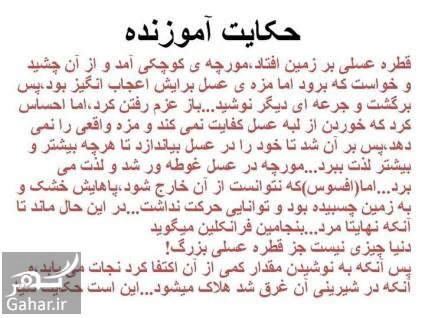 چند داستان کوتاه و عبرت آموز از پیامبران
