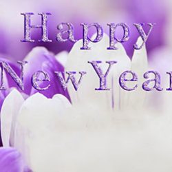 سال میلادی چند روز است ؟