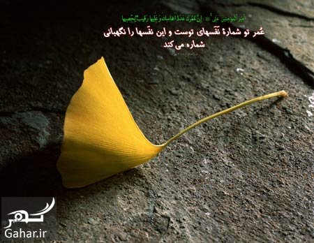 حدیث در مورد موفقیت از معصومین علیهم السلام
