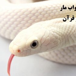 تعبیر خواب مار از نظر قرآن ،تعبیر خواب مار افعی – 10 تعبیر مختلف معبران