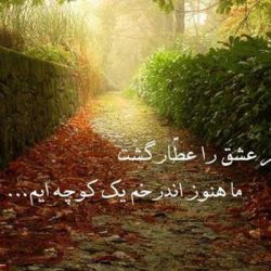 هفت شهر عشق یا هفت وادی عطار کجاست؟