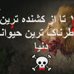 آشنایی با حیوانات درنده و کشنده جهان
