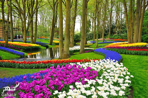 برای مسافرت در فصل بهار چه کشورهایی مناسب هستند؟