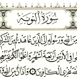 چرا سوره توبه بسم الله ندارد، حکم گفتن بسم الله