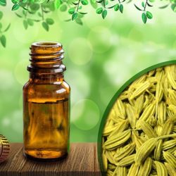 خواص روغن رازیانه + عوارض روغن رازیانه