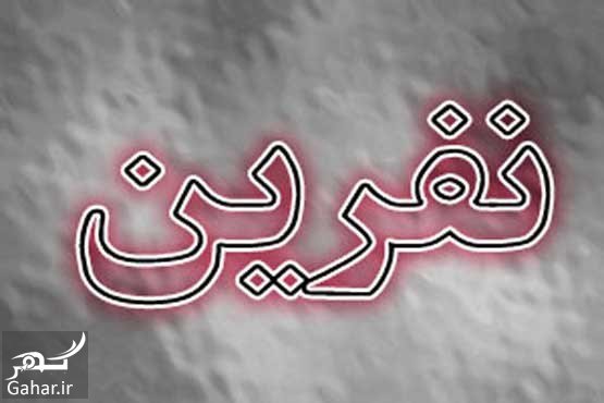حکم شرعی نفرین کردن و واگذار کردن به خدا و حلال نکردن افراد
