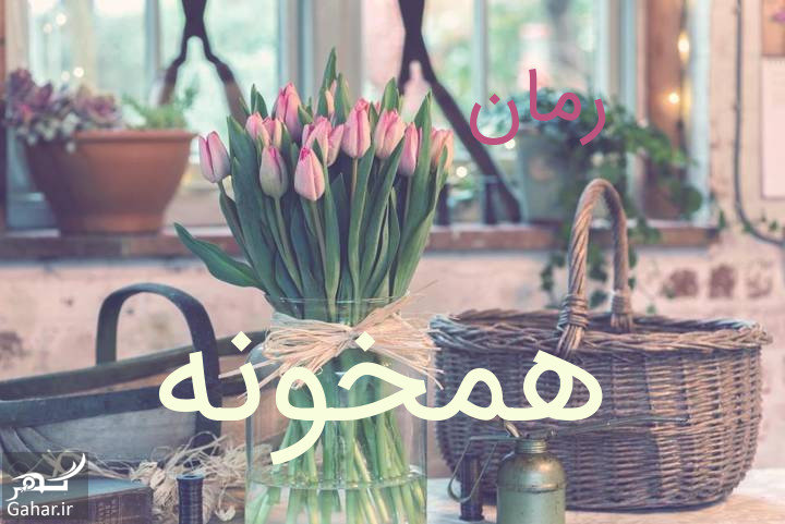 معرفی رمان همخونه مریم ریاحی