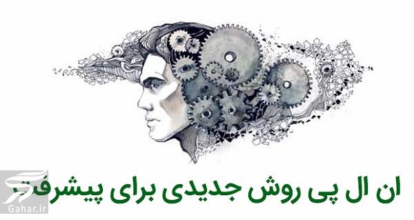 ان ال پی چیست + NLP چه کاربردی دارد؟