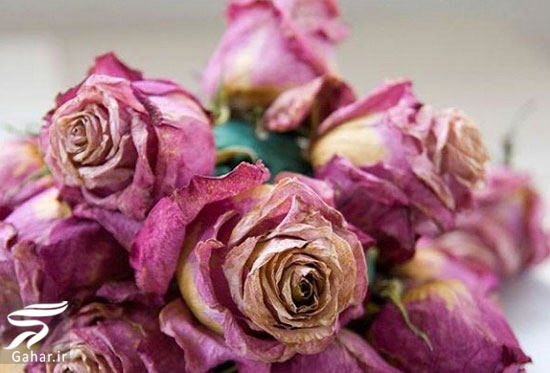 روش هایی برای خشک کردن گل طبیعی