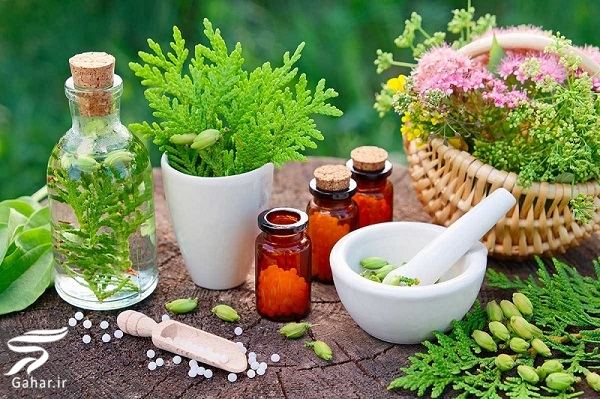 تاریخچه داروهای گیاهی و گیاهان دارویی