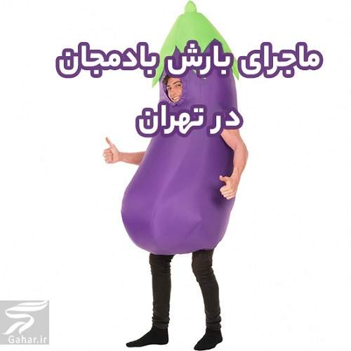ماجرای بارش بادمجان در تهران + دستگیر شدن سازندگان