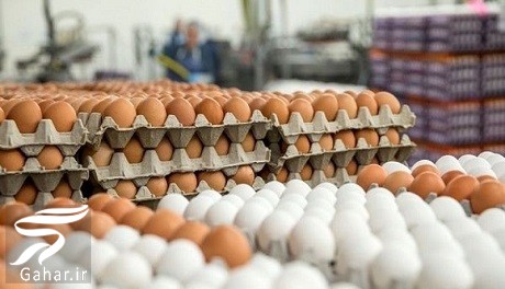 قیمت تخم مرغ تا شب عید چقدر می شود ؟