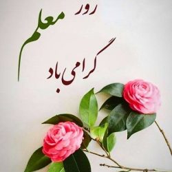 متن تقدیرنامه روز معلم ( 15 متن برای لوح تقدیر روز معلم)