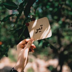 کلیپ تولد تیر ماهی | استوری تبریک تولد تیر ماهی