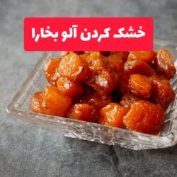 روش خشک كردن الو بخارا (آموزش کامل)