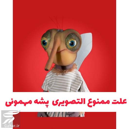 علت حذف شدن پشه از مهمونی