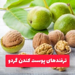 روش پوست کندن گردو تازه (ترفندهای عالی)